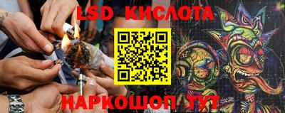 сатива Беслан