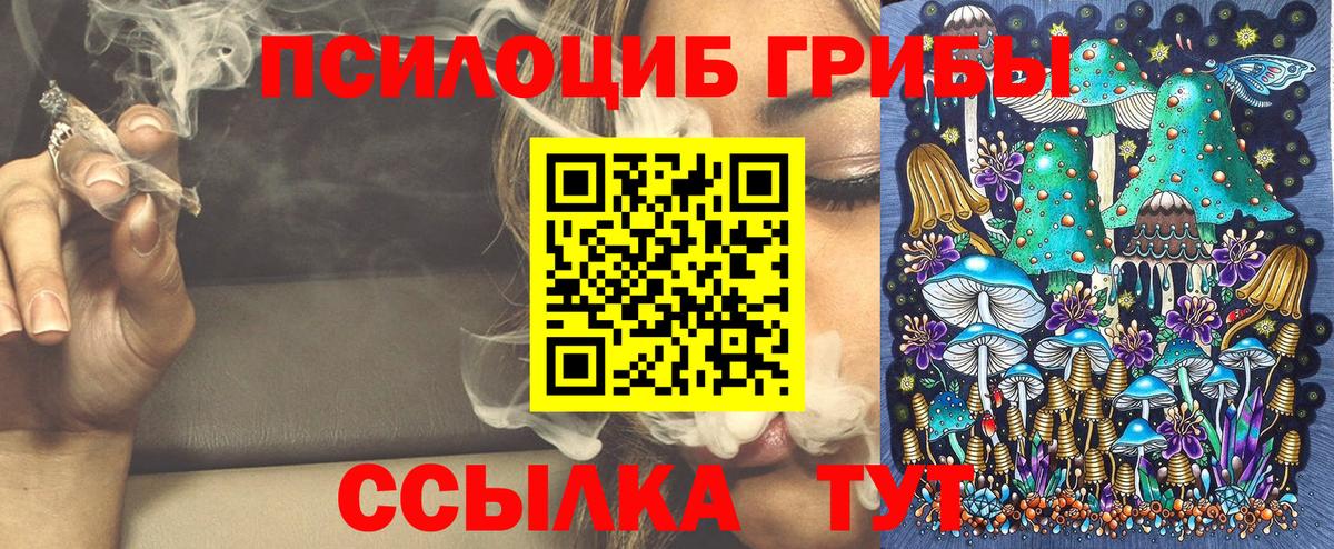 Псилоцибиновые грибы Psilocybe Кемерово