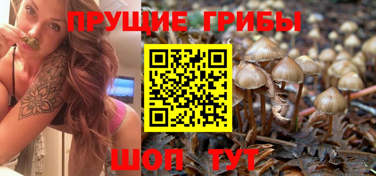 где найти   Галлюциногенные грибы мицелий  Вход с VPN  Кемерово 